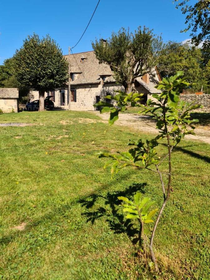 Maison Typique Auvergnate, Piscine Et Four A Pain Saint-Christophe-Les-Gorges ภายนอก รูปภาพ