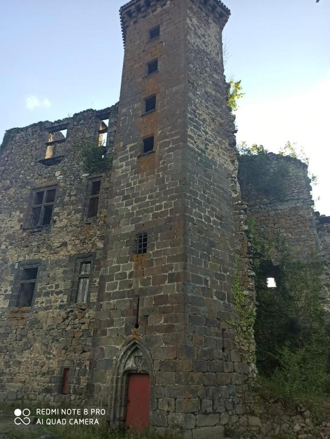 Maison Typique Auvergnate, Piscine Et Four A Pain Saint-Christophe-Les-Gorges ภายนอก รูปภาพ